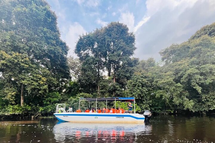 Cruzeiro pelo rio Borneo (Klias) e passeio pelos vaga-lumes