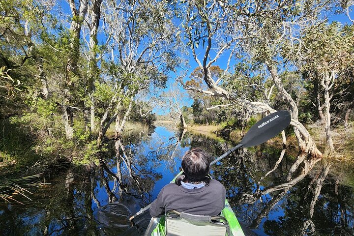 Excursion en kayak en 4x4 sur l'île Bribie et visite du bunker de la Seconde Guerre mondiale