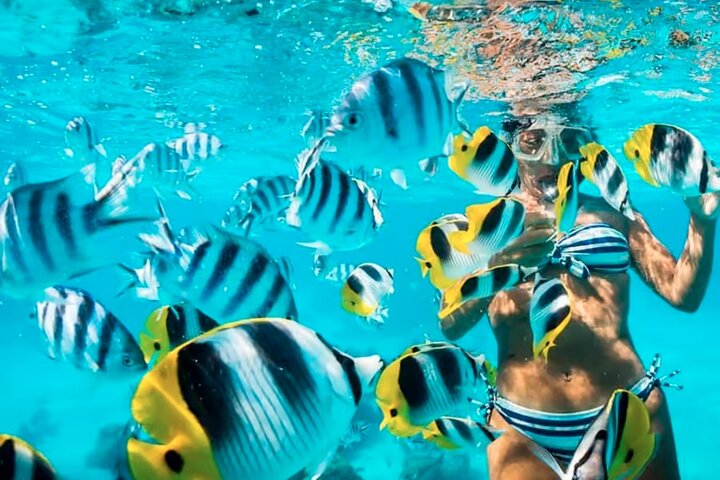 Visite des 5 îles du houblon de Carthagène : déjeuner, plongée avec tuba, clubs de plage, et plus encore