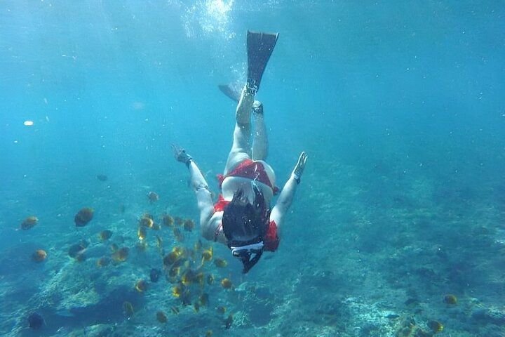 Gita di un giorno tutto compreso a Nusa Penida