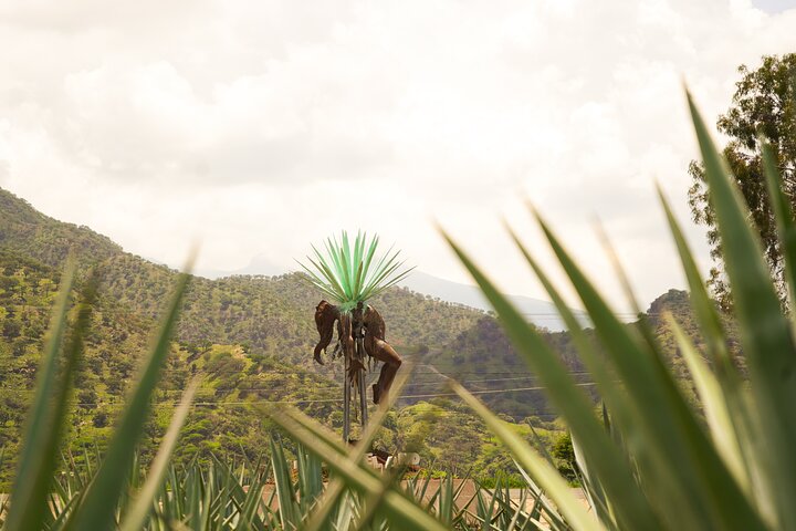 Klassieke tequilatour vanuit Guadalajara en uitgebreide cantaritos bij El Güero!