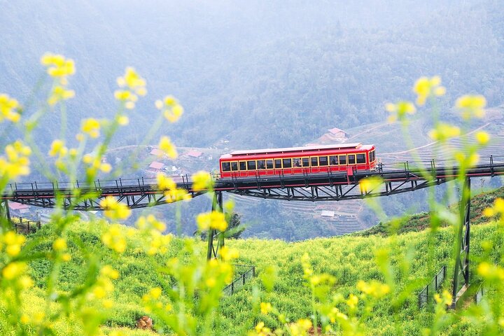 Villaggio dei gatti, Moana, Fansipan Cable, Alpine Coaster Sapa Tour