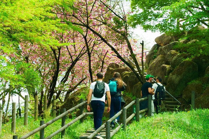 Matsumoto-Rundreise: Burg, Miso, Wasabi, Wein & Ukiyo-e