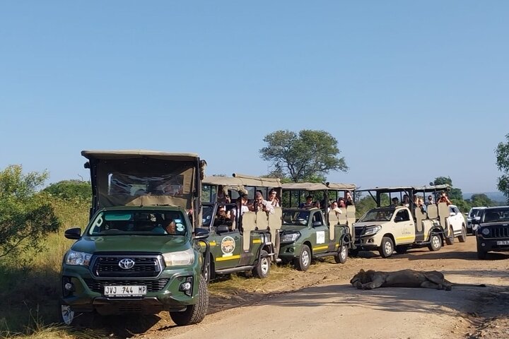 Kruger National Park Morning Safari Experience (minimaal 2 personen)