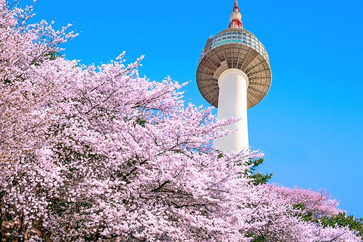Flexible Private Guided Tour in Seoul (Optional Layover)