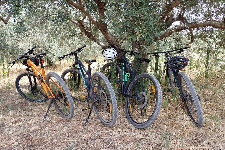 Bike and Wine Korcula Adventure - Excursão de bicicleta guiada de meio dia