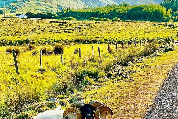 E-Bike Cycle Greenway - Westport Till Achill Island Atlantkusten