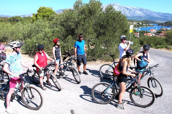 Bike and Wine Korcula Adventure - Excursão de bicicleta guiada de meio dia