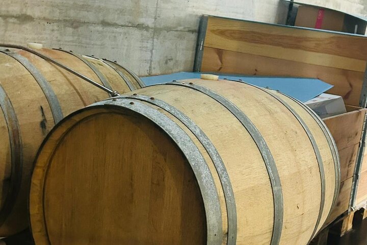 Excursion au volcan Etna, dégustation de vins, déjeuner dans un domaine viticole et transfert