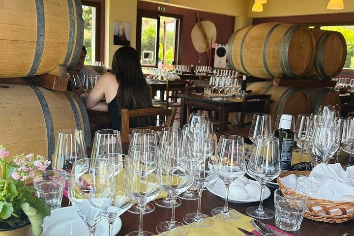 Excursion au volcan Etna, dégustation de vins, déjeuner dans un domaine viticole et transfert
