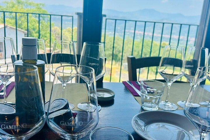 Excursion au volcan Etna, dégustation de vins, déjeuner dans un domaine viticole et transfert