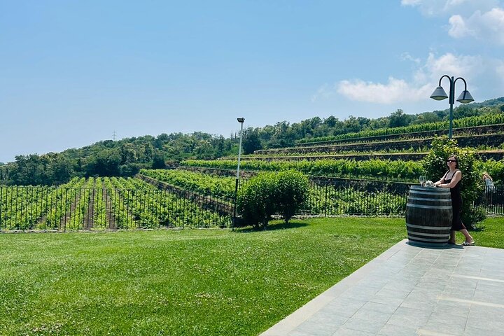 Excursion au volcan Etna, dégustation de vins, déjeuner dans un domaine viticole et transfert