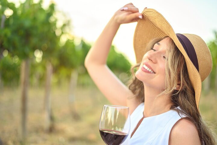 Excursion au volcan Etna, dégustation de vins, déjeuner dans un domaine viticole et transfert