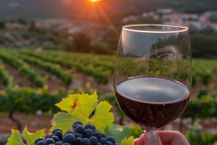 Excursion au volcan Etna, dégustation de vins, déjeuner dans un domaine viticole et transfert