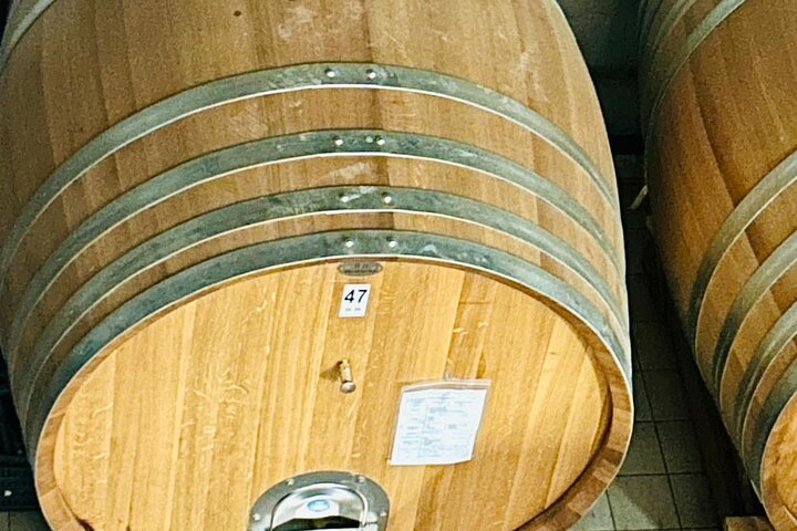 Excursion au volcan Etna, dégustation de vins, déjeuner dans un domaine viticole et transfert