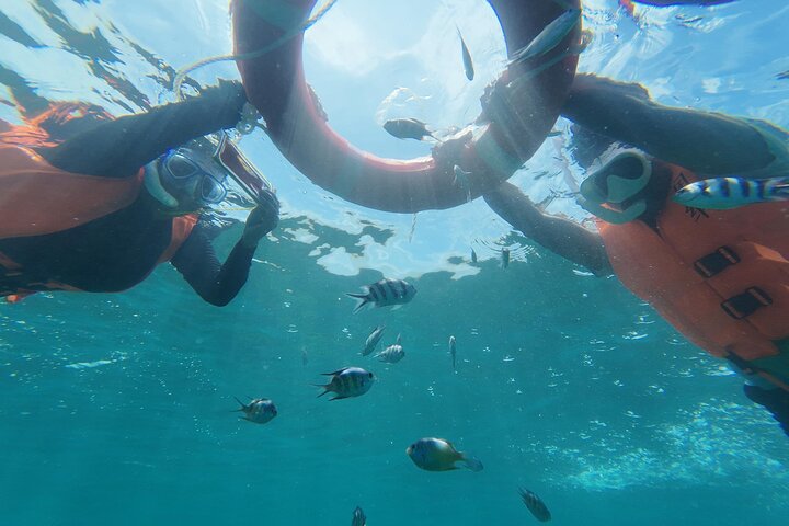Mantanani Island Snorkeling au départ de Kota Kinabalu