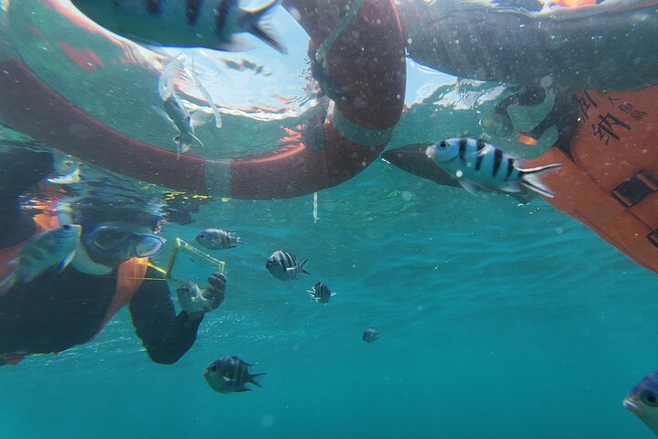 Mantanani Island Snorkeling au départ de Kota Kinabalu