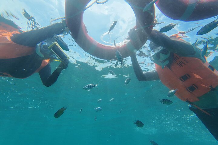 Mantanani Island Snorkeling au départ de Kota Kinabalu