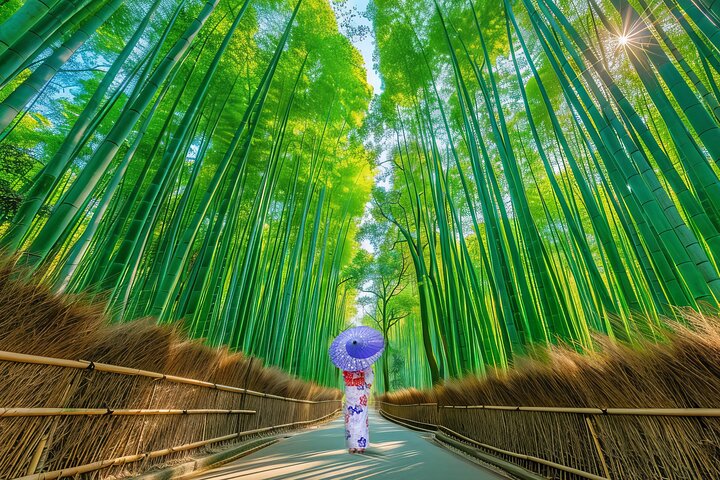 Från Kyoto / Osaka : Kyoto måste-se platser och Nara Park Endagstur