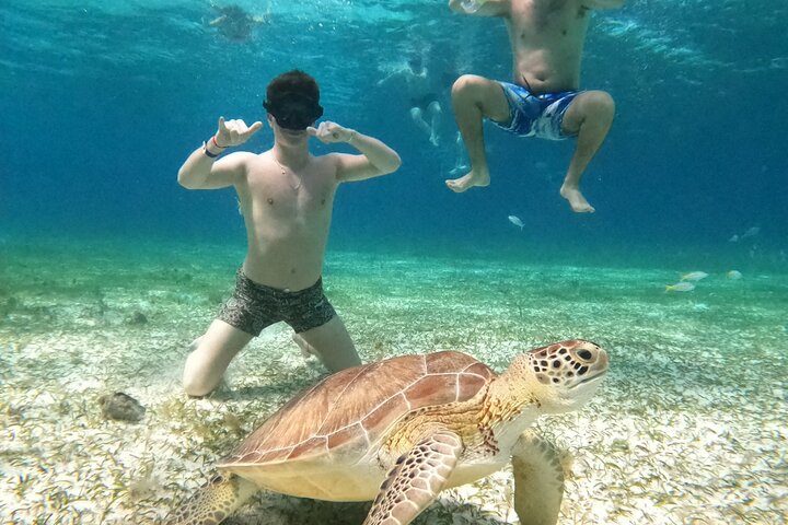 4 timmars Cozumel Turtle Sanctuary upplevelse på en lyxig Catamarán