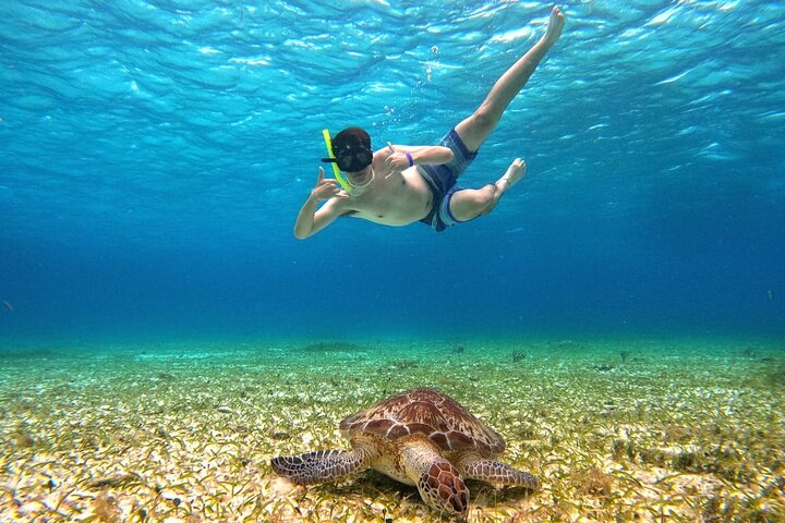 4 timmars Cozumel Turtle Sanctuary upplevelse på en lyxig Catamarán