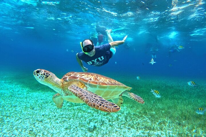 4 timmars Cozumel Turtle Sanctuary upplevelse på en lyxig Catamarán