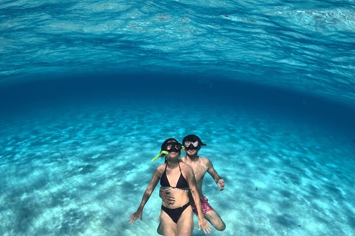 4 timmars Cozumel Turtle Sanctuary upplevelse på en lyxig Catamarán