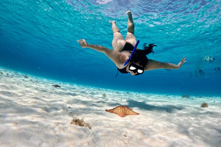4 timmars Cozumel Turtle Sanctuary upplevelse på en lyxig Catamarán