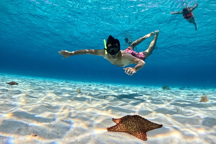 4 timmars Cozumel Turtle Sanctuary upplevelse på en lyxig Catamarán