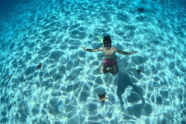 4 timmars Cozumel Turtle Sanctuary upplevelse på en lyxig Catamarán