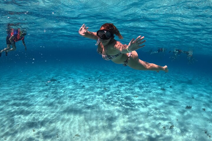 4 timmars Cozumel Turtle Sanctuary upplevelse på en lyxig Catamarán