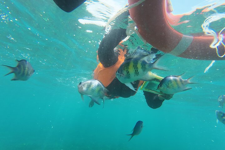 Mantanani Island Snorkeling au départ de Kota Kinabalu