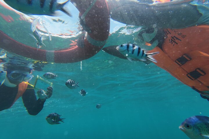 Mantanani Island Snorkeling au départ de Kota Kinabalu