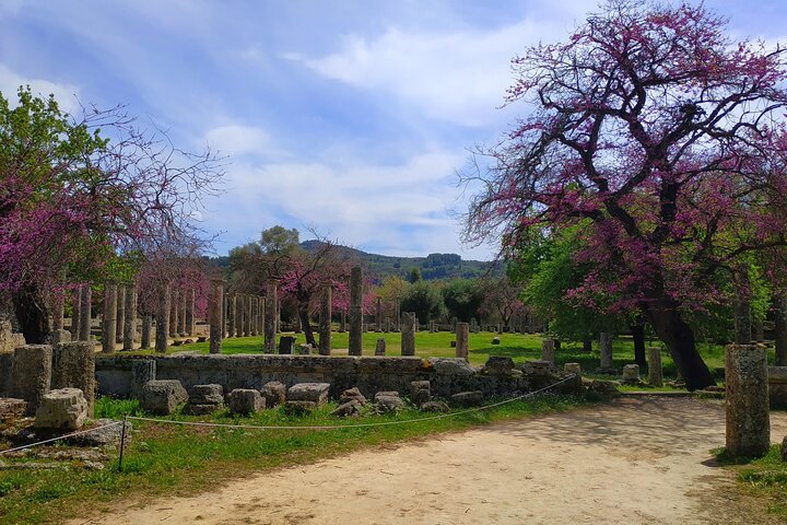 Private Tour to Ancient Olympia and Olive Oil Factory