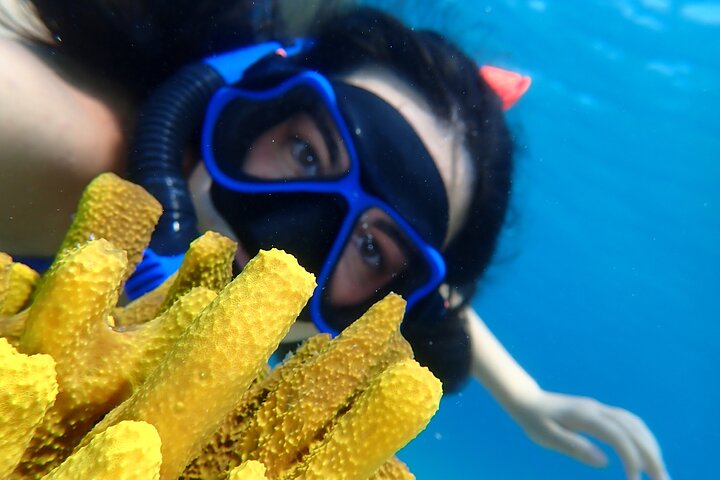 Marine Adventure Cruise Snorkelen en zwemmen in Lefkas