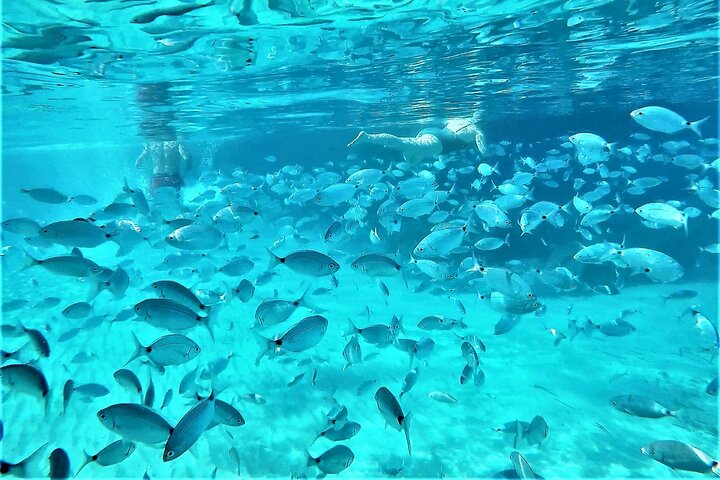 Hoteller i nærheden af Ibiza Snorkeling Beach and Cave Tour