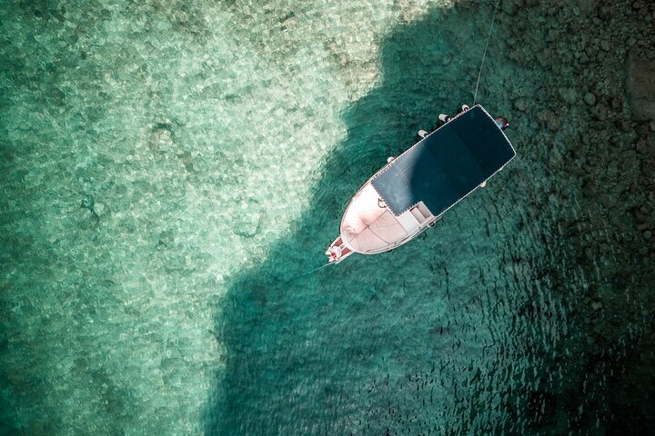 Wilde baaien van Krk Island: Een privé boottocht van een halve dag