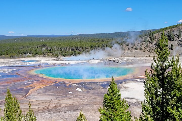 Guidet Yellowstone tur fra Big Sky og West Yellowstone