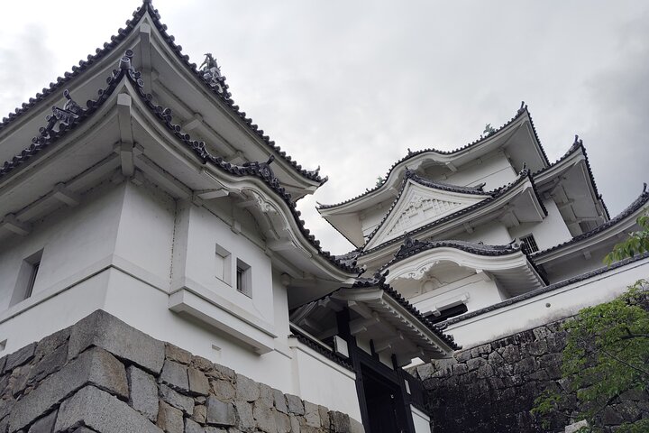 Iga: Descubre los secretos ninja en el Castillo Ueno y el Museo Ninja
