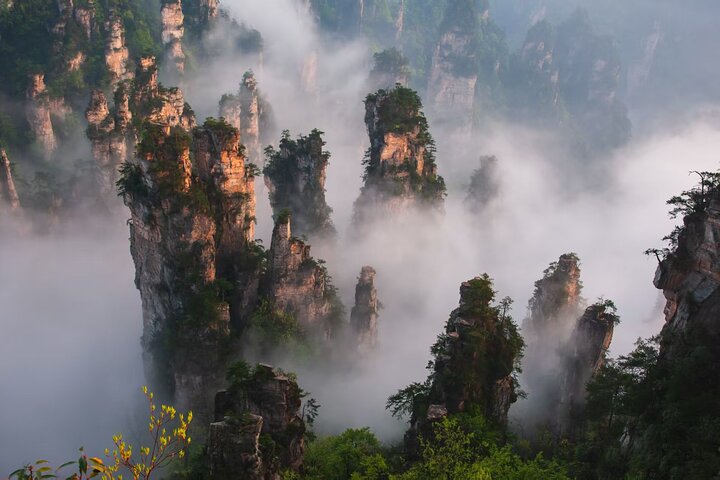 Tour privato di 1 giorno al Parco Nazionale della Foresta ZJJ e Avatar Mountain