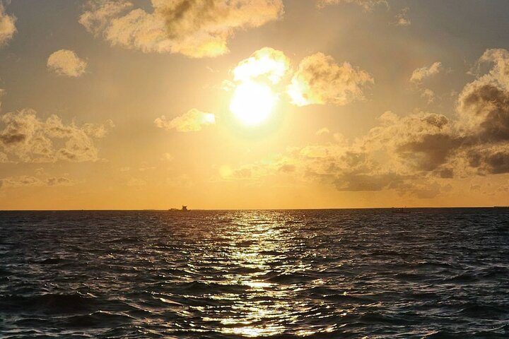 Malé Dusk and Dolphins Un safari al atardecer en el mar