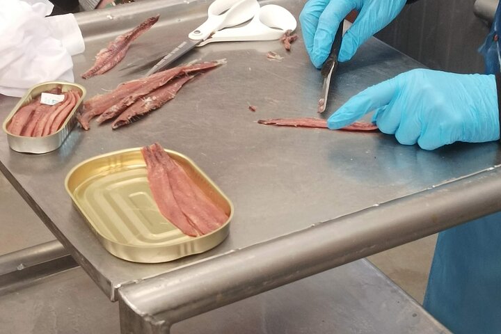 Visite de l'usine d'anchois et des marais de Santoña avec dégustation