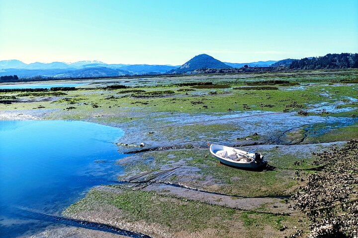 Visite de l'usine d'anchois et des marais de Santoña avec dégustation