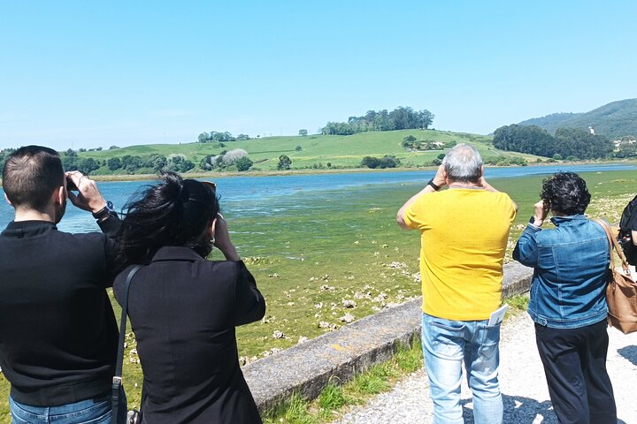 Visite de l'usine d'anchois et des marais de Santoña avec dégustation