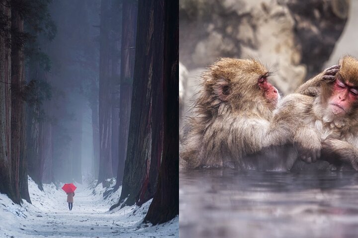 Visite privée du singe des neiges et du sanctuaire de Togakushi