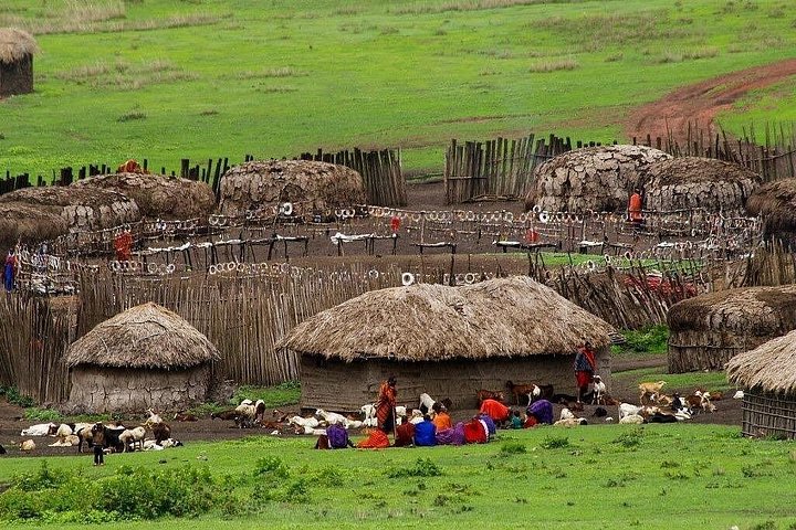1 dagstur till Serval Wildlife Sanctuary och Massai Village Tour