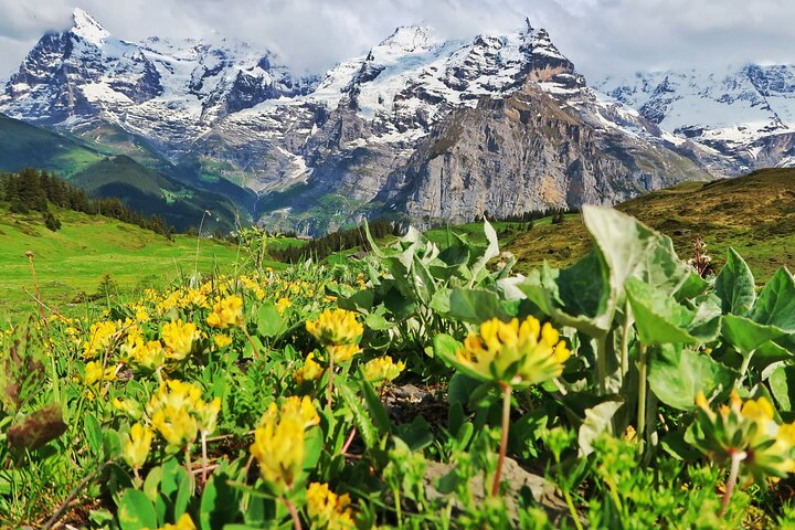 Wanderung Lauterbrunnen-Murren inkl. Trummelbach Wasserfälle Besuch