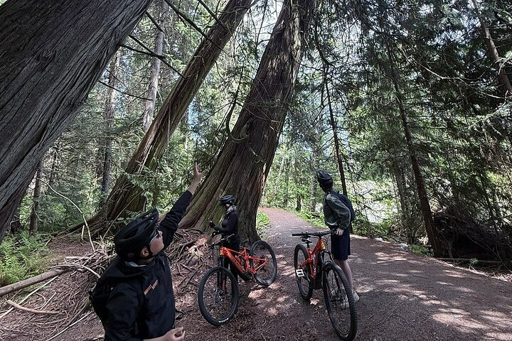 Scenic Valley Ride - Whistlrr EBike Tour - Attività Marmot
