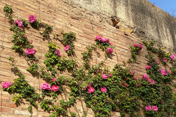 Private Tour zur Alhambra in Granada vom Hafen von Almería