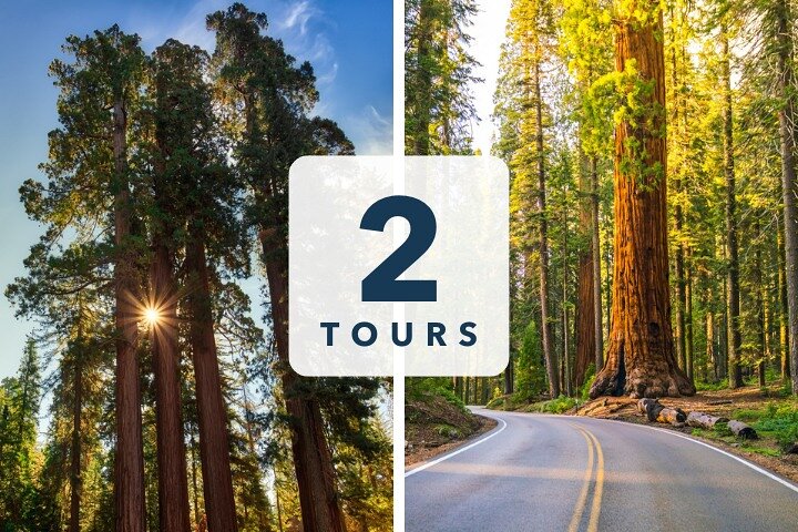 Sequoia en Kings Canyon audiotour Zelfgids Nationaal Park Tour